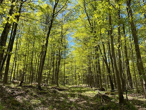 300 Acres of Recreational Land for Sale in Hermon, New York