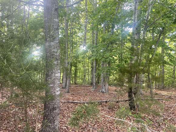 0.96 Acres of Residential Land for Sale in Pittsville, Virginia