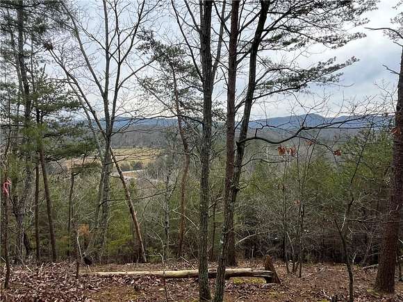 20.4 Acres of Land for Sale in Ranger, Georgia