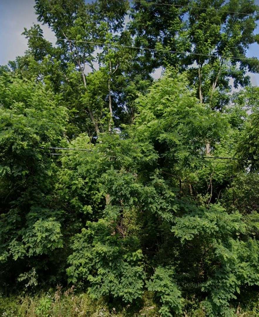2.8 Acres of Residential Land for Sale in Lockport, Illinois