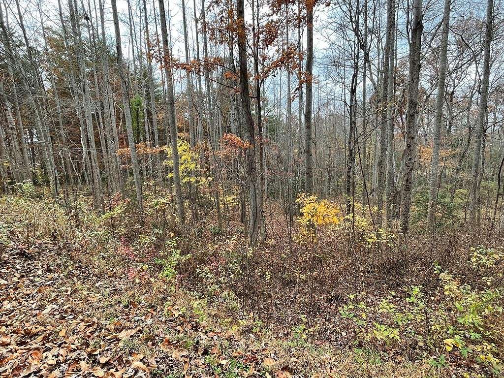 11.1 Acres of Land for Sale in Blairsville, Georgia