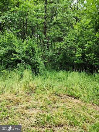 6.6 Acres of Land for Sale in Hartly, Delaware