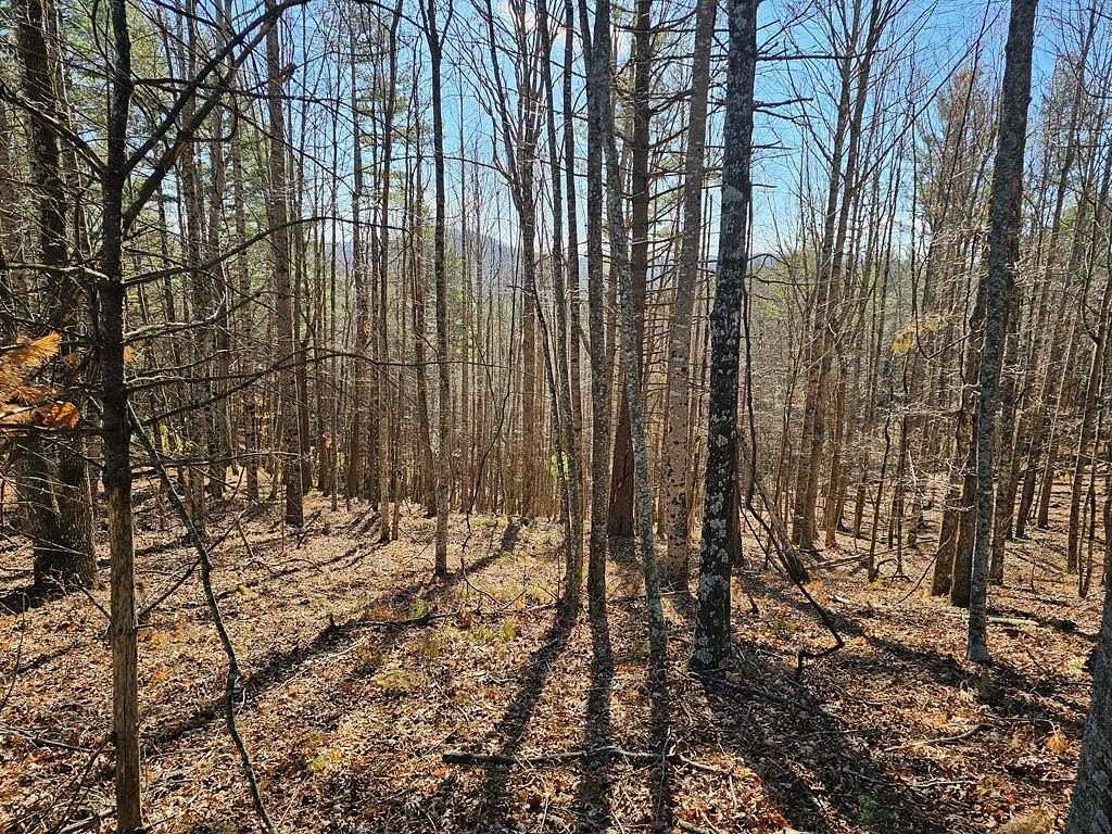 12.932 Acres of Recreational Land for Sale in Woodlawn, Virginia