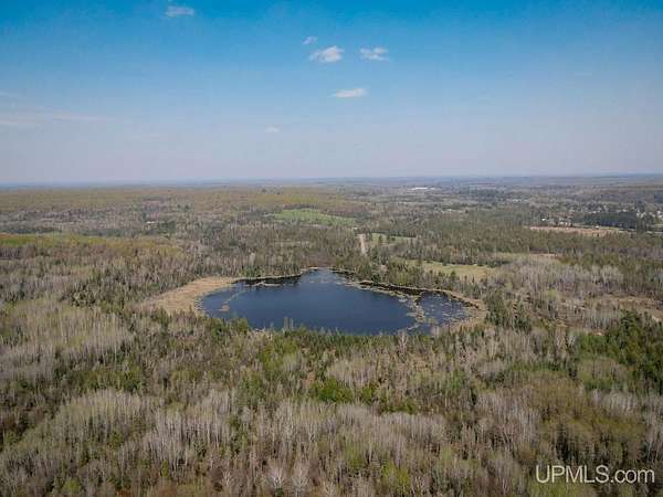 78.5 Acres of Recreational Land for Sale in Amasa, Michigan