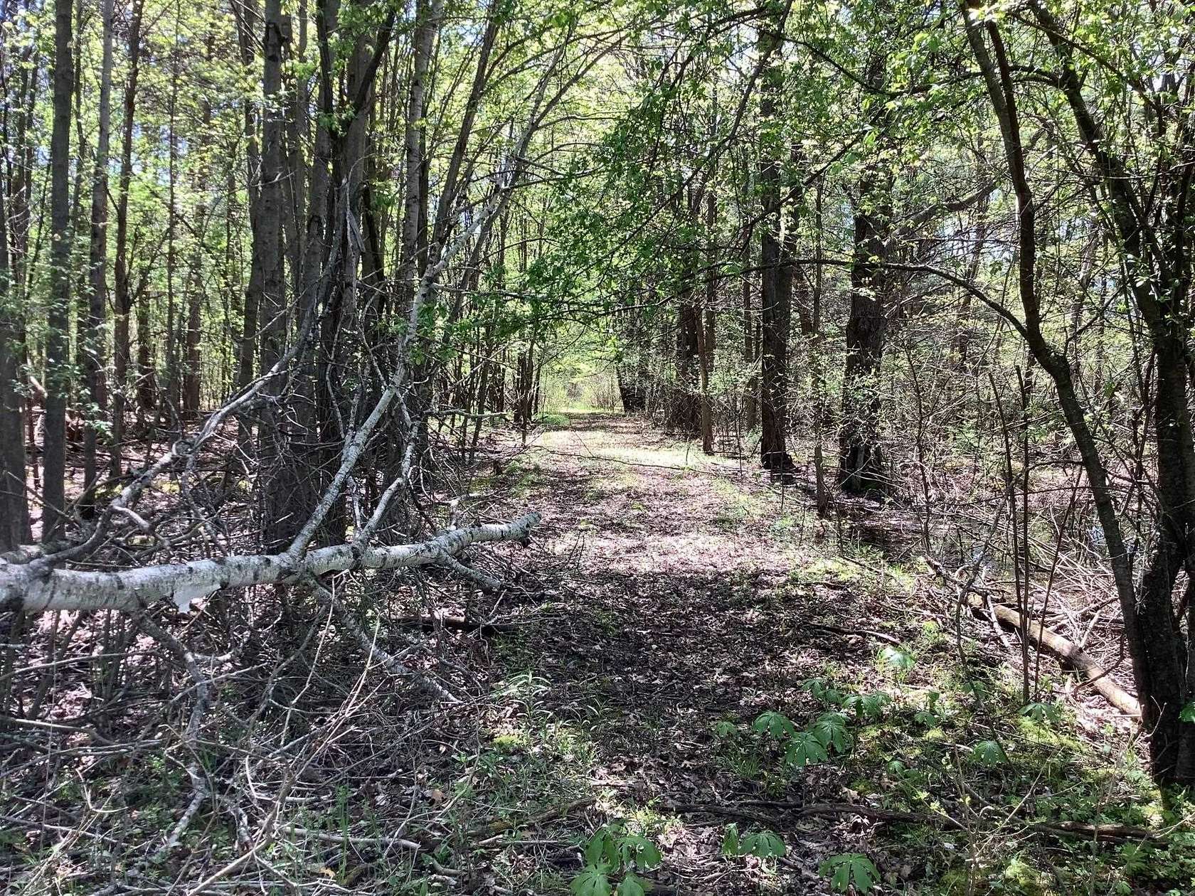 30.1 Acres of Recreational Land for Sale in Fremont, Wisconsin - LandSearch