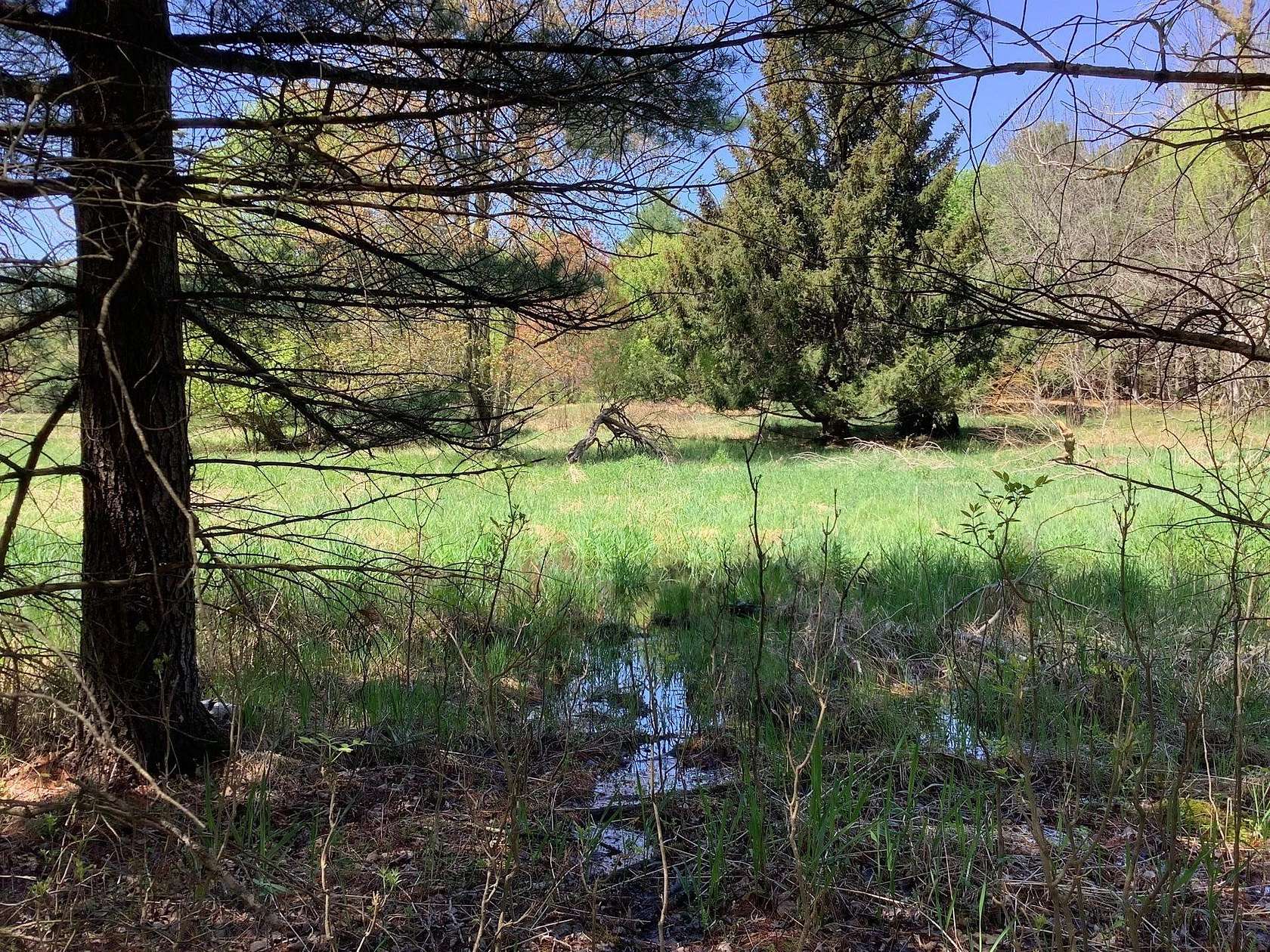 30.1 Acres of Recreational Land for Sale in Fremont, Wisconsin