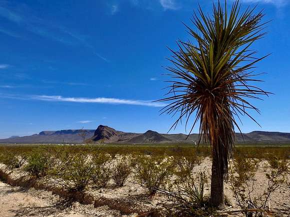 20 Acres of Recreational Land for Sale in Terlingua, Texas