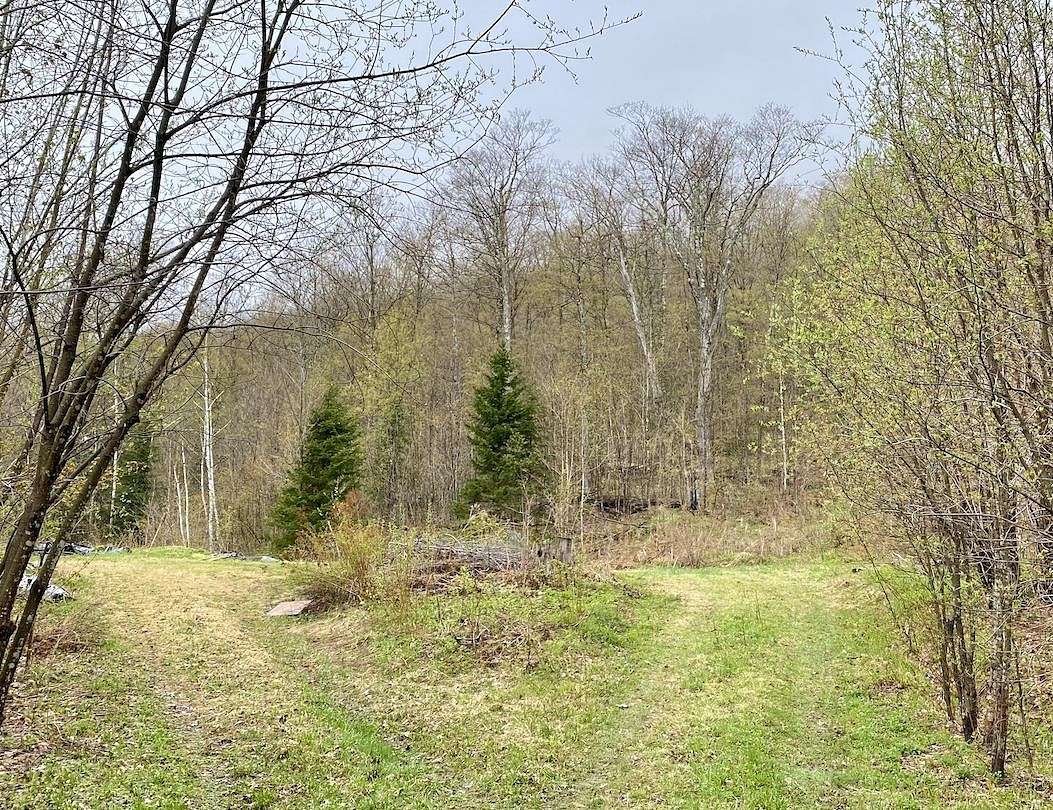 37.2 Acres of Recreational Land for Sale in Bethel, Vermont