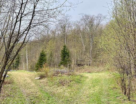 37.2 Acres of Recreational Land for Sale in Bethel, Vermont