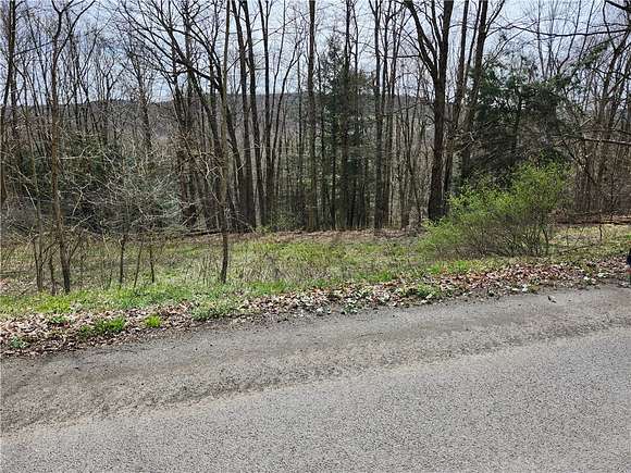 71 Acres of Land for Sale in Masonville, New York