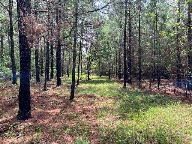 10.6 Acres of Land for Sale in Quincy, Florida