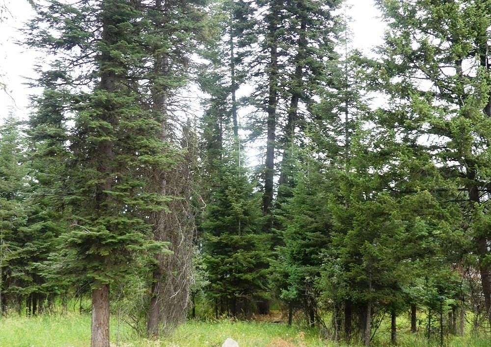 0.26 Acres of Residential Land for Sale in McCall, Idaho