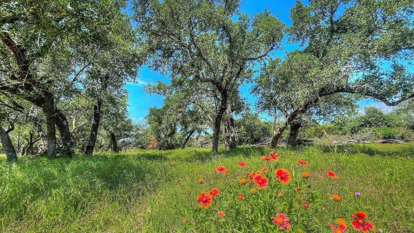 36.83 Acres of Land for Sale in Bertram, Texas