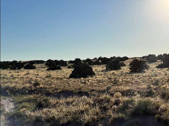 2 Acres of Residential Land for Sale in Sanders, Arizona