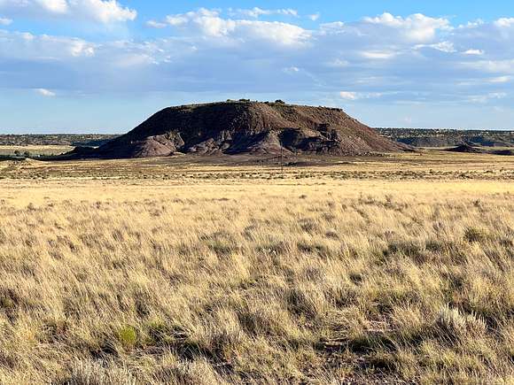 2 Acres of Residential Land for Sale in Sanders, Arizona