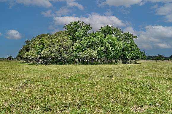 107 Acres of Agricultural Land for Sale in Flatonia, Texas
