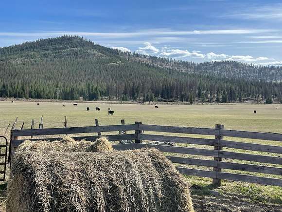 342 Acres of Land for Sale in Marion, Montana
