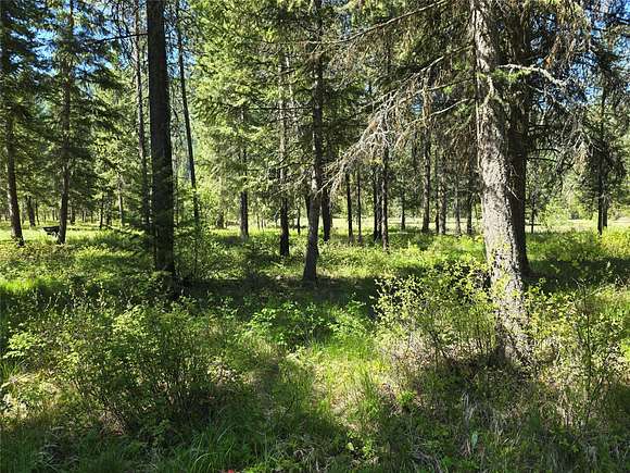 0.46 Acres of Residential Land for Sale in St. Regis, Montana
