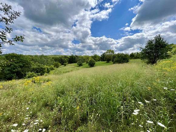 68 Acres of Recreational Land for Sale in Wauzeka, Wisconsin