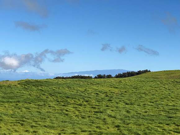 10.8 Acres of Agricultural Land for Sale in Waimea, Hawaii