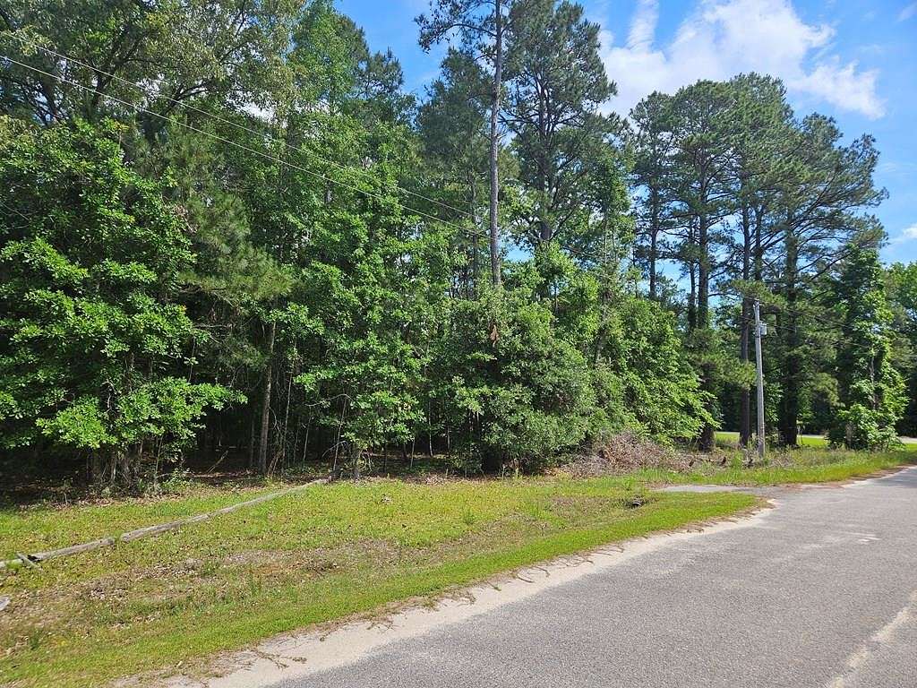 0.53 Acres of Residential Land for Sale in Manning, South Carolina