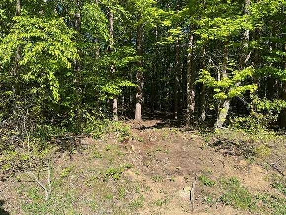 4 Acres of Residential Land for Sale in Fennville, Michigan