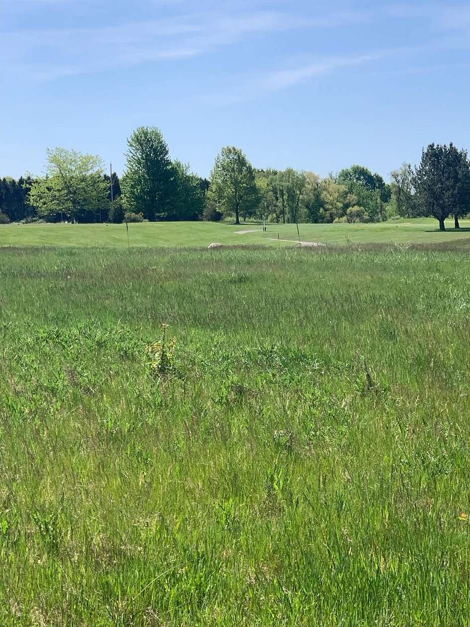 0.68 Acres of Land for Sale in Coldwater, Michigan