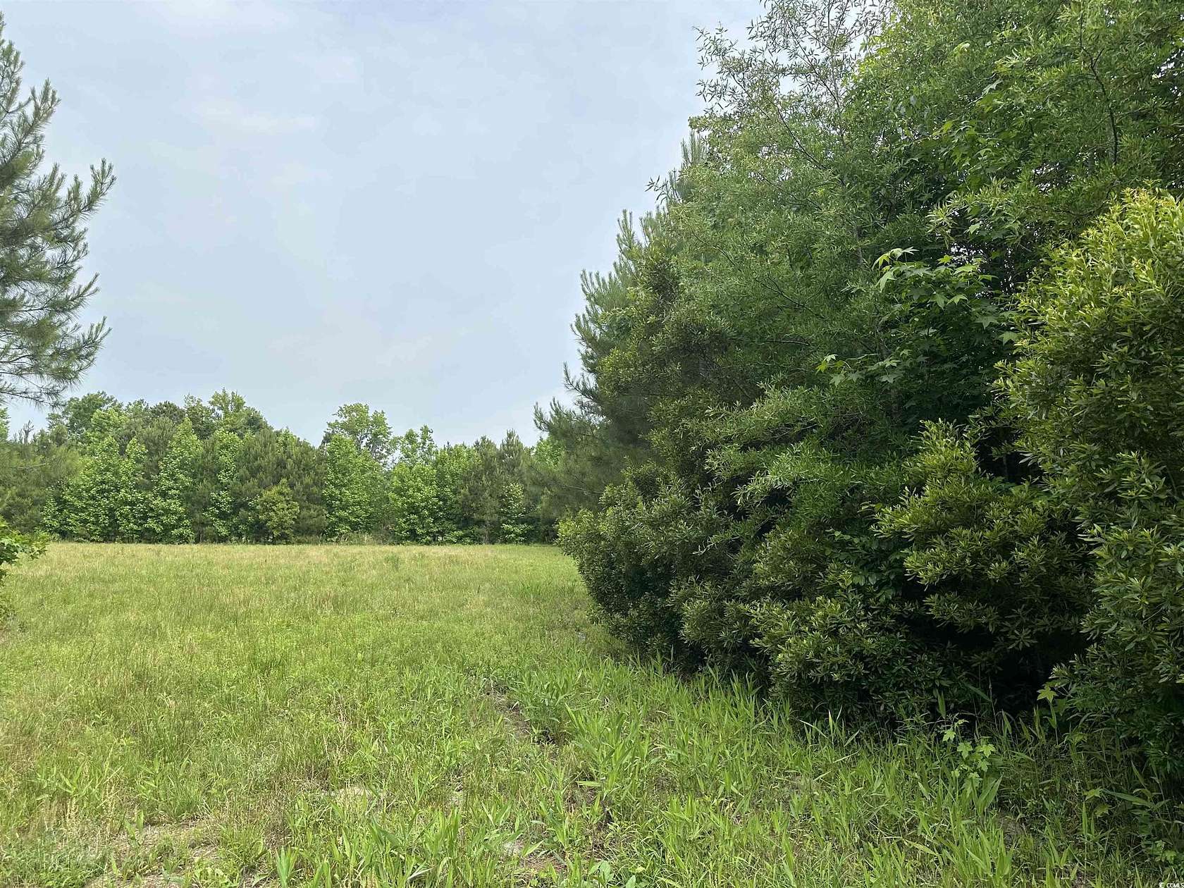 2.8 Acres of Land for Sale in Kingstree, South Carolina