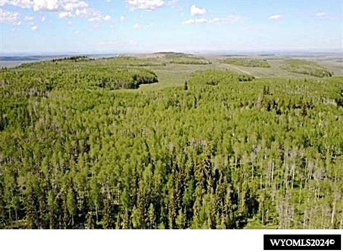 98 Acres of Land for Sale in Robertson, Wyoming