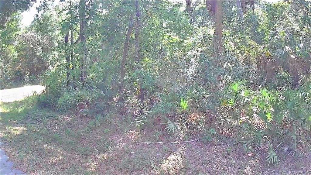 0.23 Acres of Residential Land for Sale in Crystal River, Florida