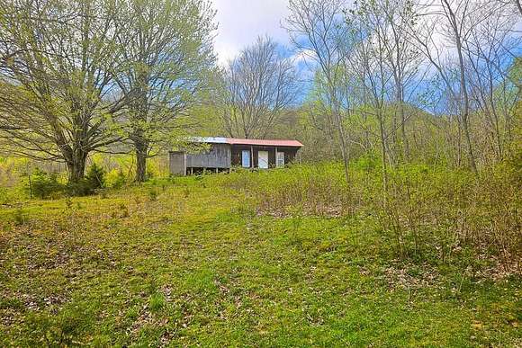 55.6 Acres of Recreational Land & Farm for Sale in Lebanon, Virginia