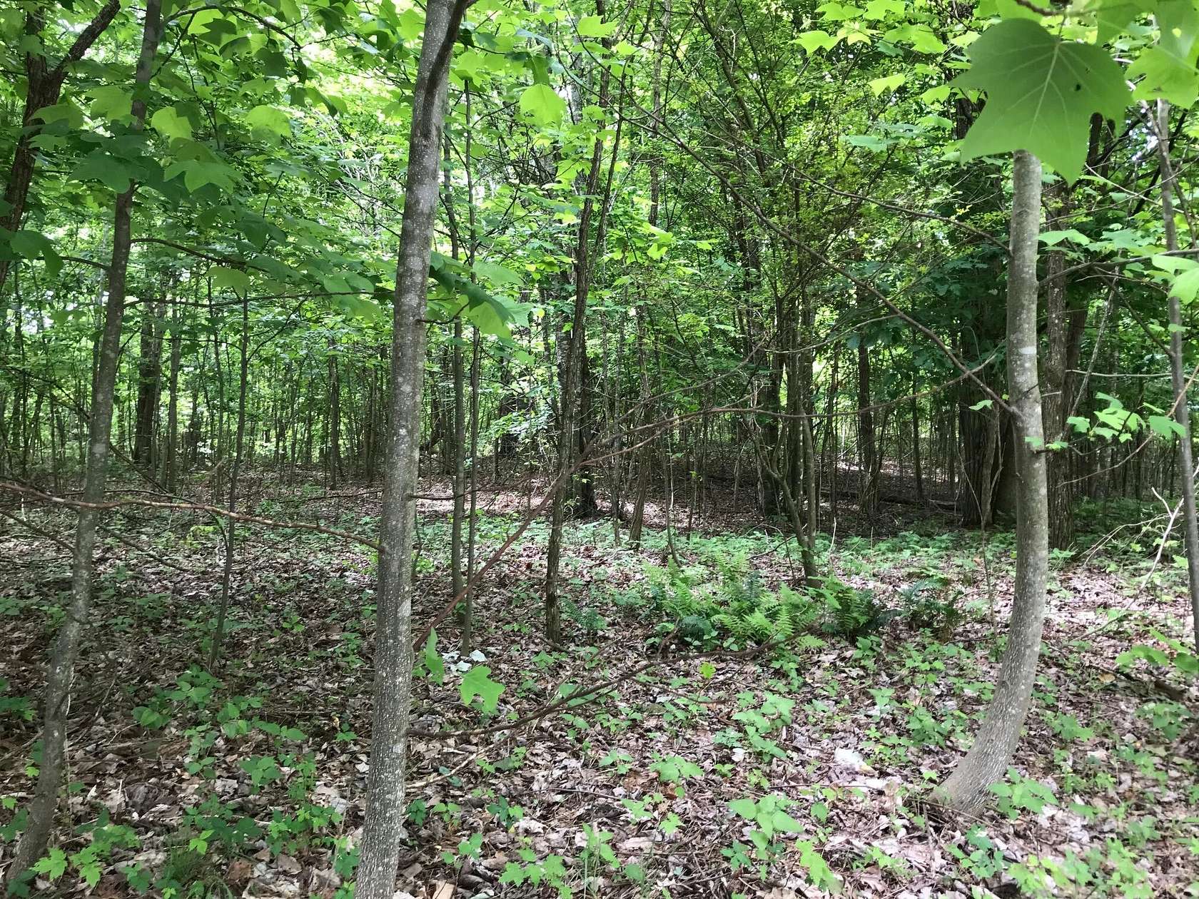 3.1 Acres of Residential Land for Sale in Dunlap, Tennessee