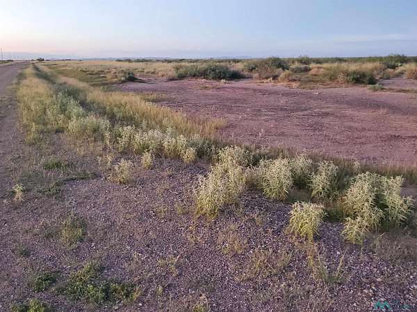1 Acre of Land for Sale in Deming, New Mexico