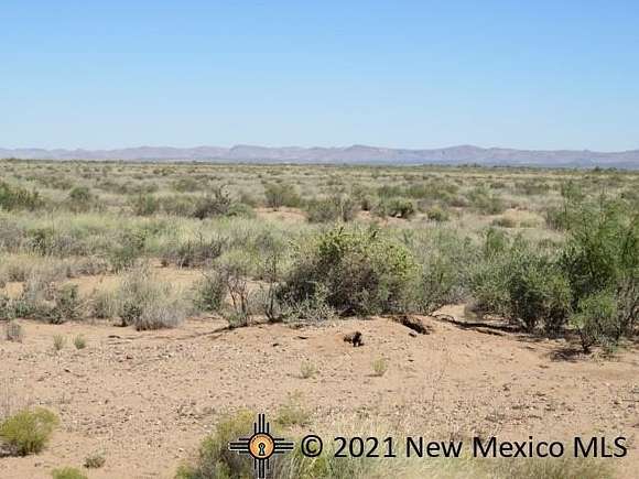 Land for Sale in Columbus, New Mexico