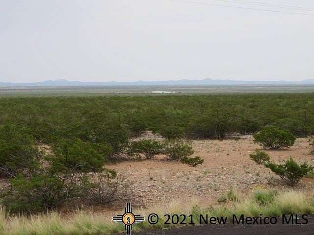 Land for Sale in Columbus, New Mexico