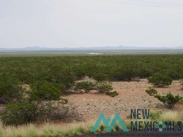 Land for Sale in Columbus, New Mexico
