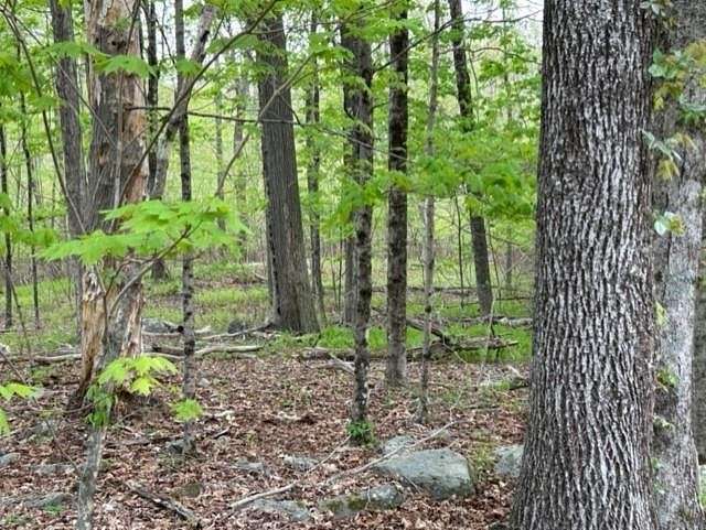 15.13 Acres of Land for Sale in Glocester Town, Rhode Island