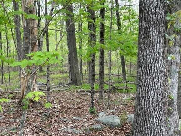 15.1 Acres of Land for Sale in Glocester Town, Rhode Island