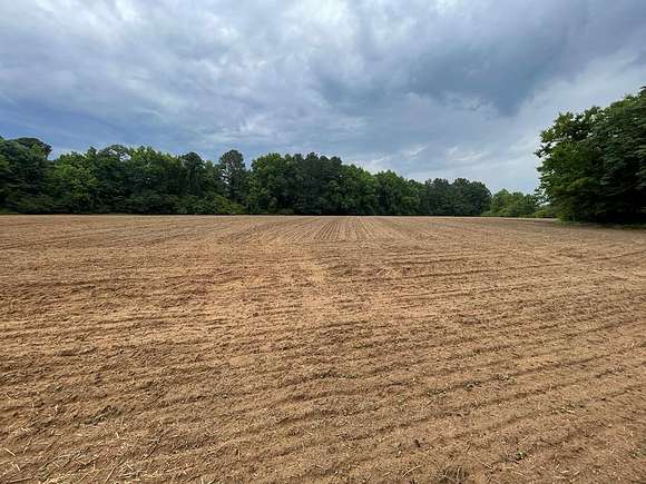 57.8 Acres of Agricultural Land for Sale in Manning, South Carolina