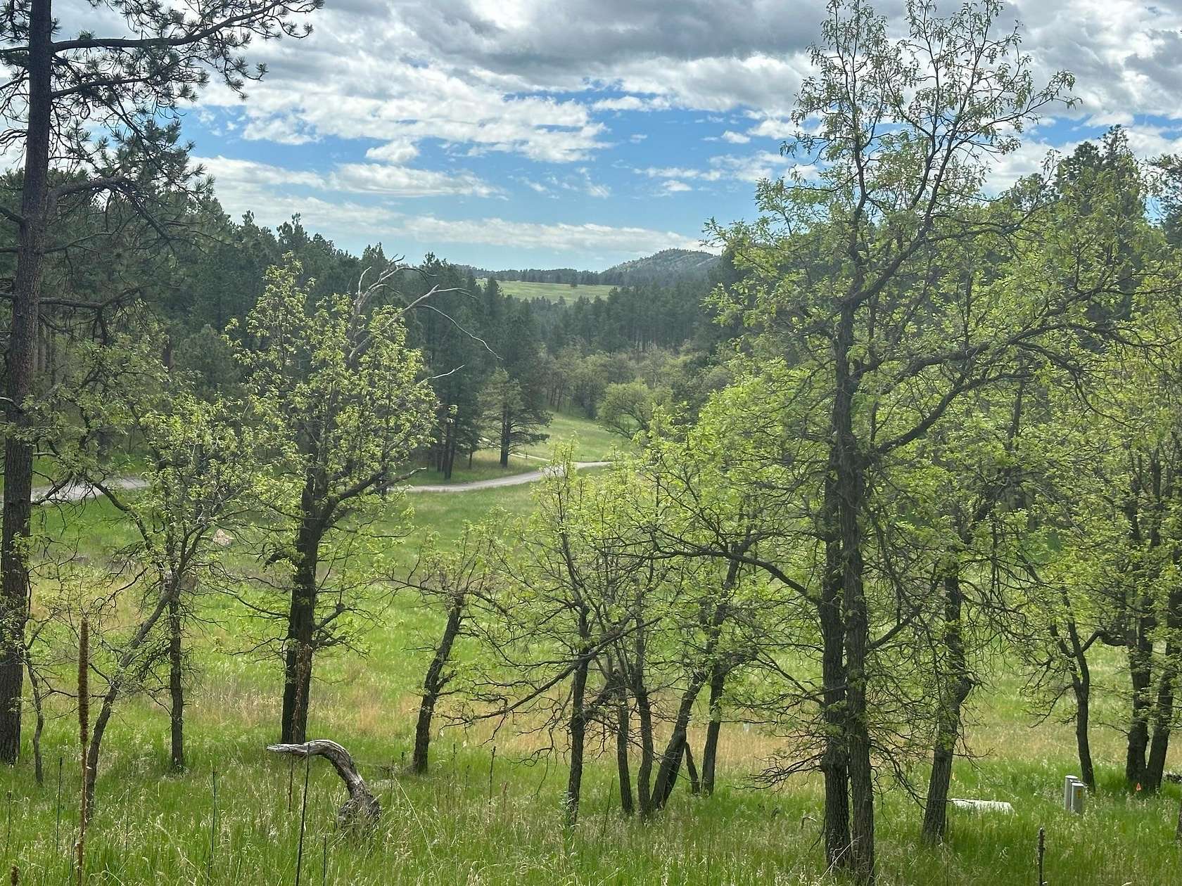 1.8 Acres of Residential Land for Sale in Keystone, South Dakota