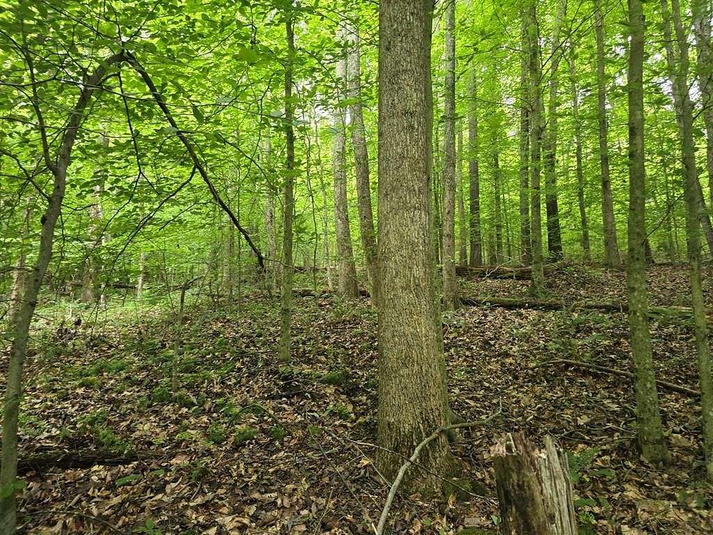3.3 Acres of Residential Land for Sale in Byrdstown, Tennessee