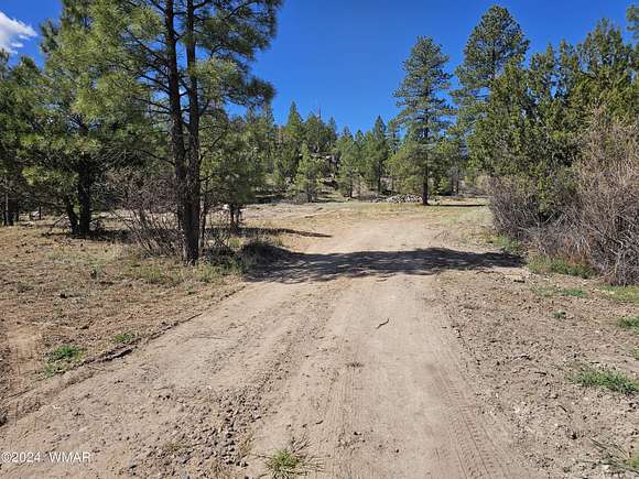 3 Acres of Residential Land for Sale in Heber, Arizona
