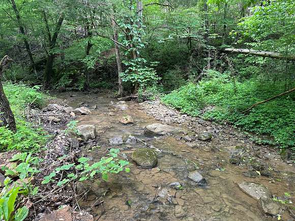 37 Acres of Recreational Land for Sale in Whiteside, Tennessee
