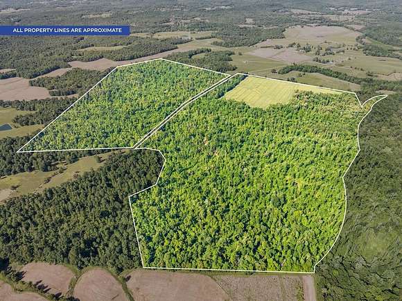 303 Acres of Recreational Land for Sale in Belton, Kentucky