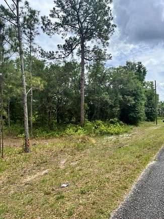 10.09 Acres of Agricultural Land for Sale in Ocklawaha, Florida