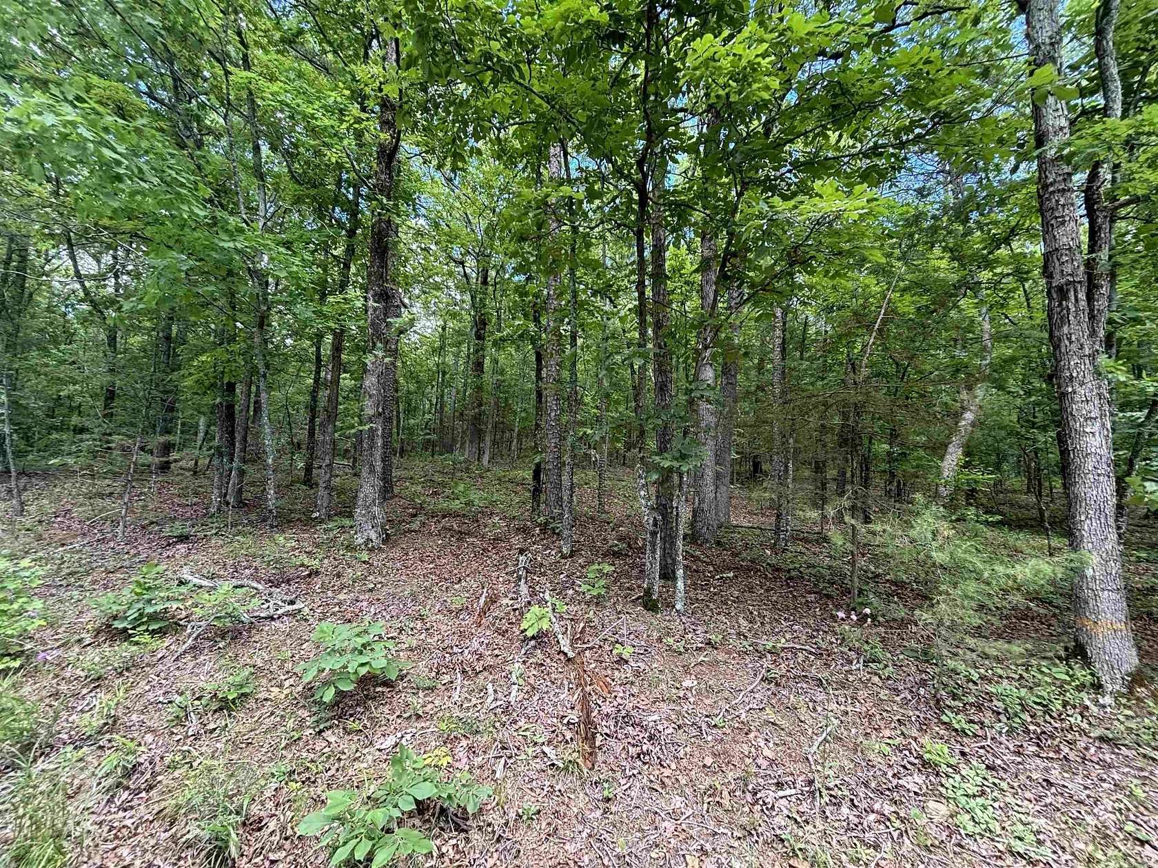 1 Acre of Residential Land for Sale in Higden, Arkansas