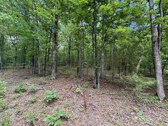 1 Acre of Residential Land for Sale in Higden, Arkansas