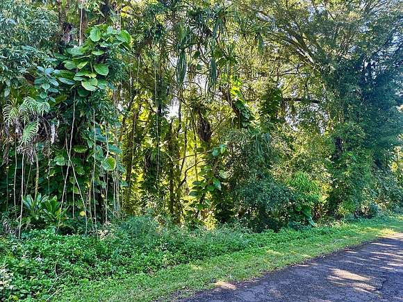 0.28 Acres of Residential Land for Sale in Pahoa, Hawaii