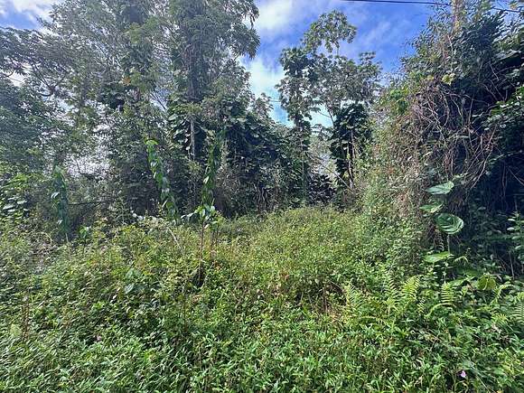 0.19 Acres of Land for Sale in Pahoa, Hawaii