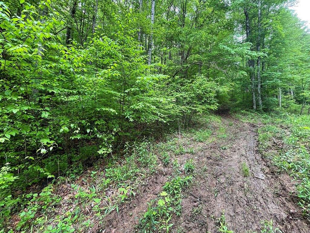 0.46 Acres of Residential Land for Sale in Franklin, North Carolina